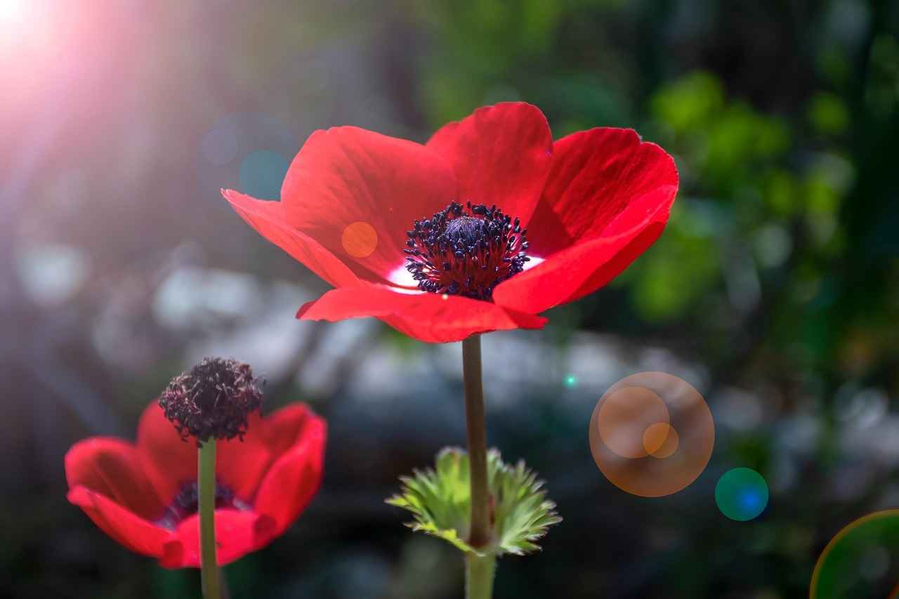 Top Samsung Galaxy Smart Watches Ranked