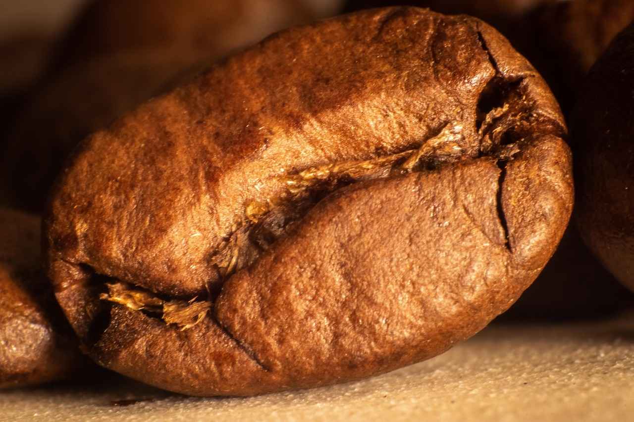 How to Choose the Right Smart Watch for Your Lifestyle 8 Brand Reputation and Reviews