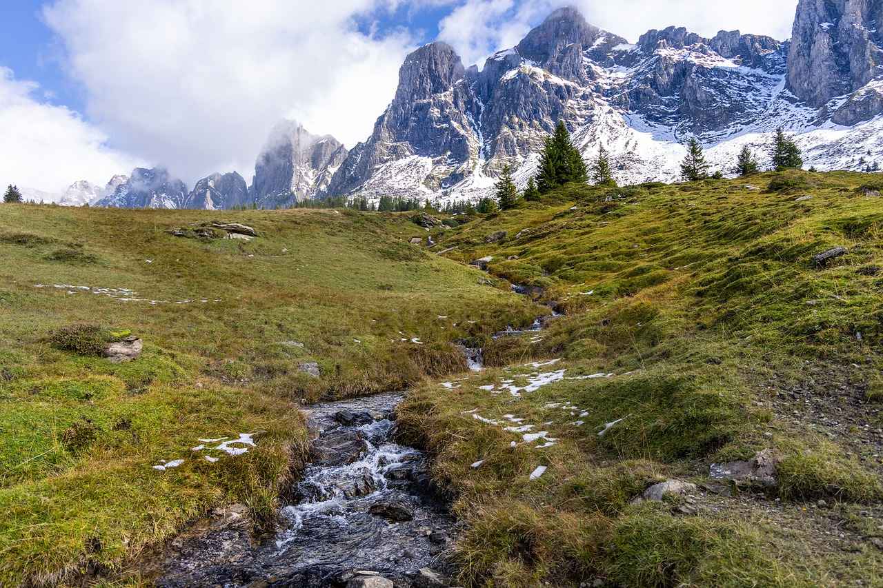 Using Free Trials to Access ESPN