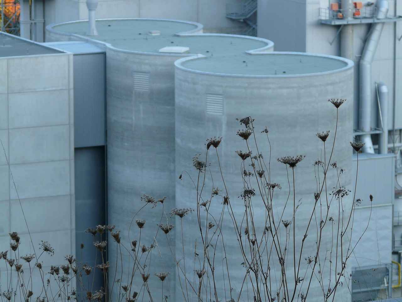 Understanding Smart Watches and Fitness Trackers