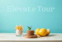 Elevate Your Lifestyle: Small Habits for Big Changes Elevate Your Lifestyle: Small Habits for Big Changes