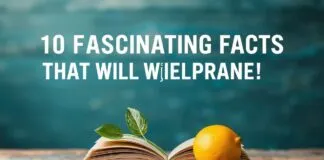 10 Fascinating Facts That Will Expand Your General Knowledge 10 Fascinating Facts That Will Expand Your General Knowledge