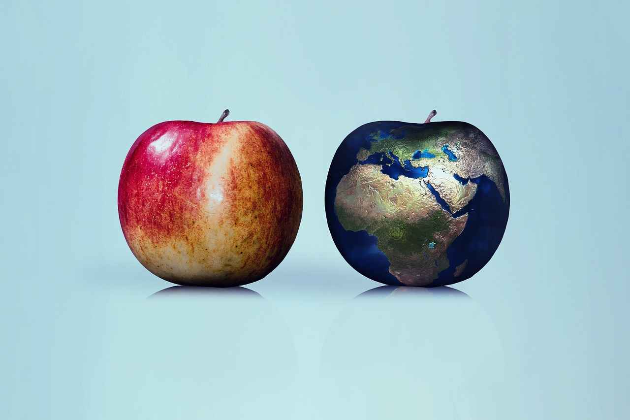Compatibility with Smartphones