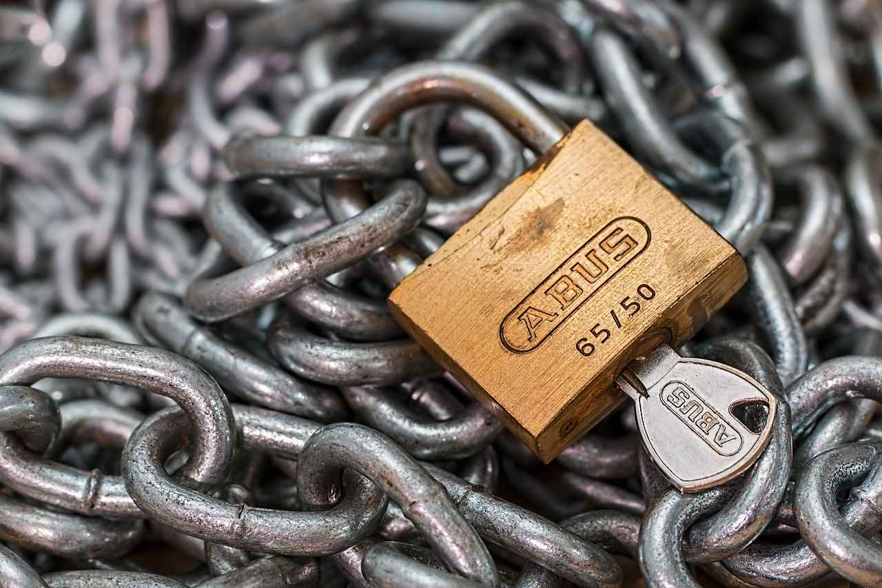 Understanding Smartwatch Vulnerabilities