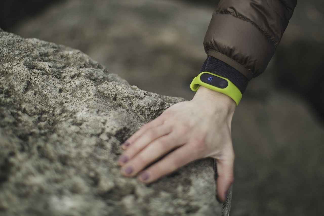 Overview of Fitbit and Apple Smart Watches